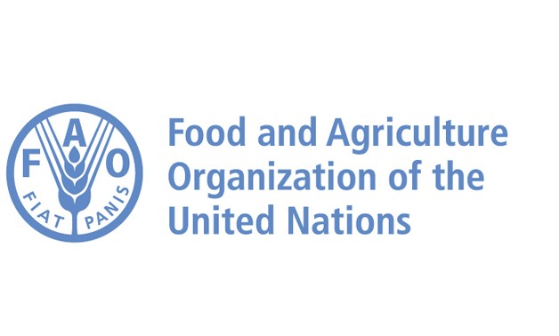 Food and Agriculture Organization (FAO) logo - Official website