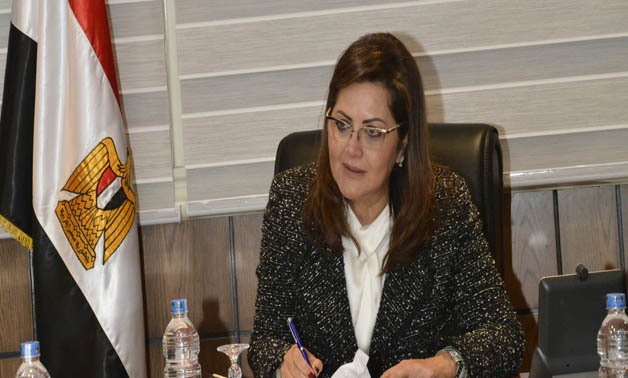 Egyptian economy on right track, positive signs of economic recovery: Minister of Planning