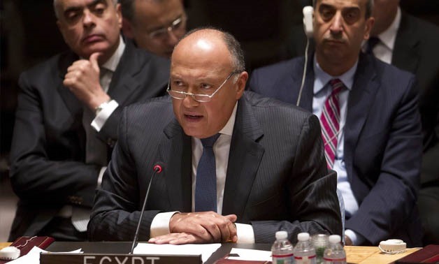 Egyptian Minster of Foreign Affairs Sameh Shoukry CC