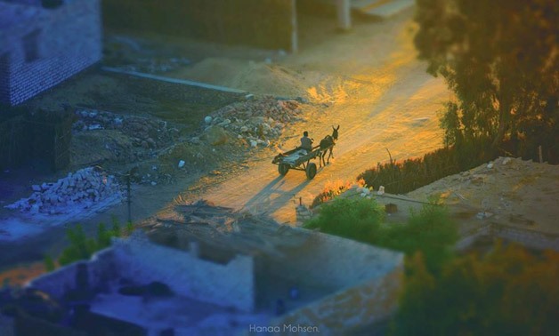 A man riding a donkey down the town – Hanaa Mohsen