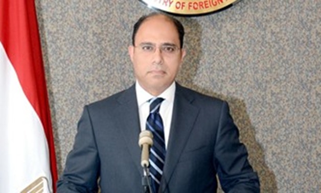 Foreign Ministry Spokesperson Ahmed Abu Zaid - Press photo