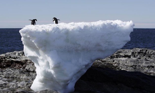 Two Adelie penguins stand atop a block of melting ice on a rocky shoreline at Cape Denison, Commonwealth Bay, in East Antarctica January 1, 2010.
Pauline Askin