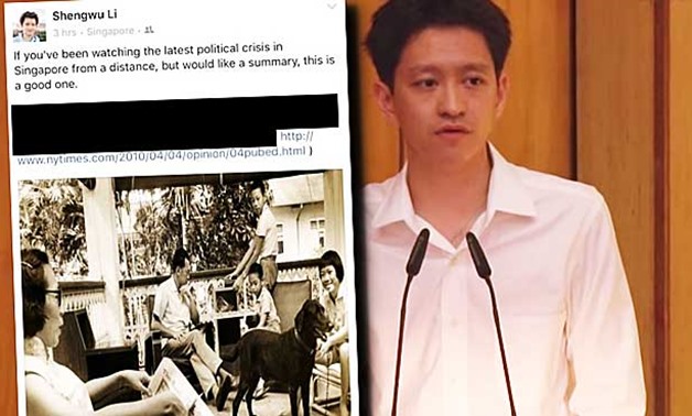Li Shengwu, nephew of Prime Minister Lee Hsien Loong and a son of Lee's brother, Lee Hsien Yang, described the Singapore government as "litigious" and the courts as "pliant".