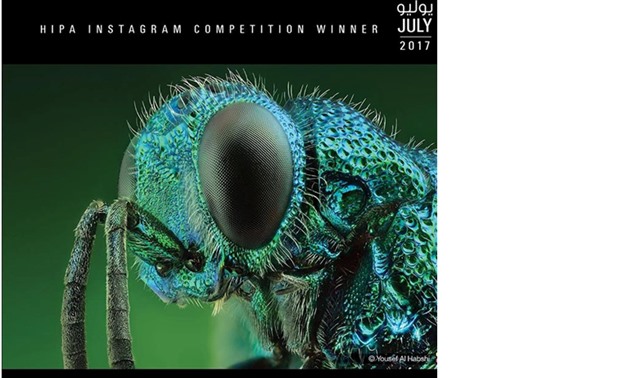 photos of winning photos in HIPA contest photo file 