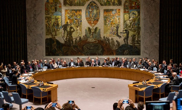 United Nations Security Council  