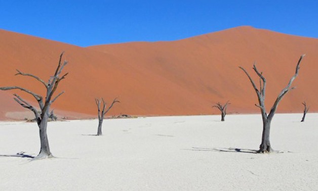 I really wanted to visit Deadvlei! It’s a dry marsh where the burnt camel thorn trees remain for 900 years. Their trunks do not decompose due to the excessive aridity!