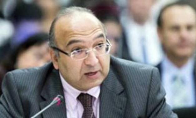 UN and deputy head of the United Nations Human Rights Council (UNHRC) Amr Ramadan - File Photo