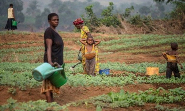 © AFP/File | Months of conflict in the Kasai region of the Democratic Republic of Congo have left many villagers unable to plant their crops
