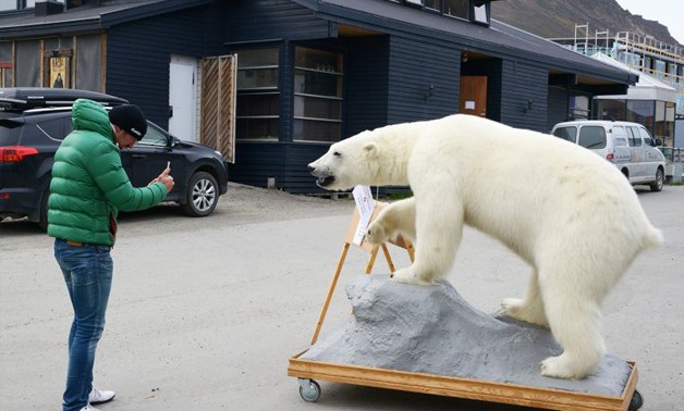 A tourist takes a picture of a stuffed polar bear in Svalbard. ― AFP pic