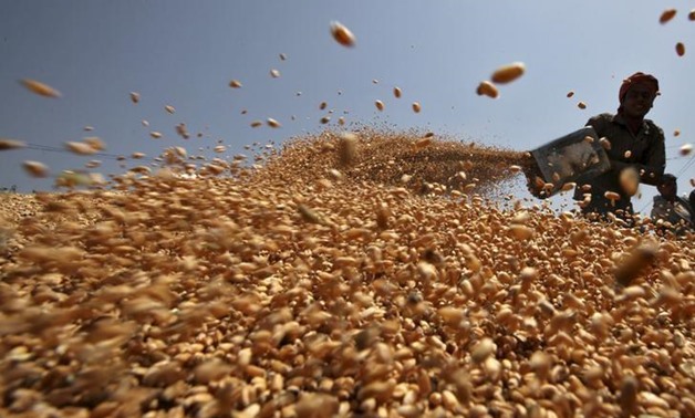 Wheat - Reuters