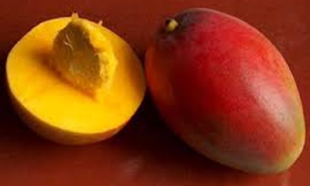 Photo of different types of mangoes - File photo