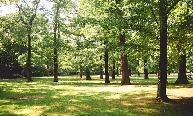 An experimental initiative will see the creation of an area in the Bois de Vincennes where naturism will be authorised. — Picture courtesy of lechatnoir/Istock.com