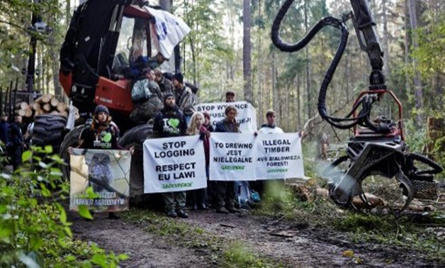 Greenpeace/AFP | Nearly 150,000 people have signed an online letter supporting protesters against Bialowieza logging