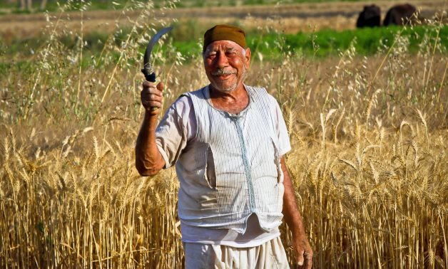 An Egyptian farmer - Egypt Today/Hussein Tallal