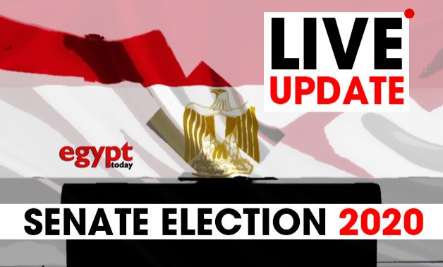 Voters in Senate Elections 2020 - Egypt Today 