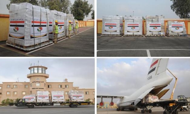 Egypt has sent a military transport plane loaded with medical and food supplies to Mali - Presidency