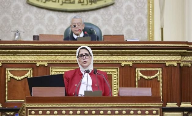 Health Minister Hala Zayed speaks before the House of Representatives – press photo