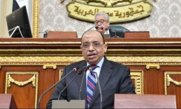 Minister of Local Development Mahmoud Shaaray delivering a speech before the House of Representatives on February 8, 2021. Egypt Today 