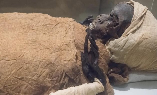 Mummy of Seqenenre Tao II - Press photo