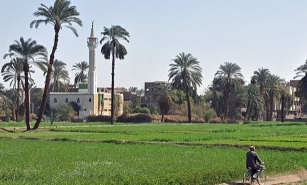 The Egyptian countryside