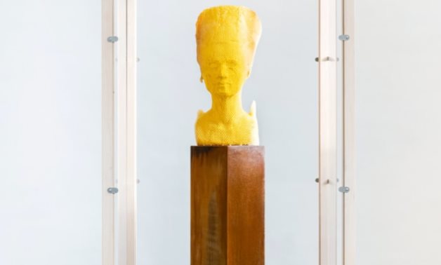 Nefertiti's honey statue - social media