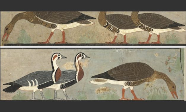 The ancient Egyptian geese fresco - ET