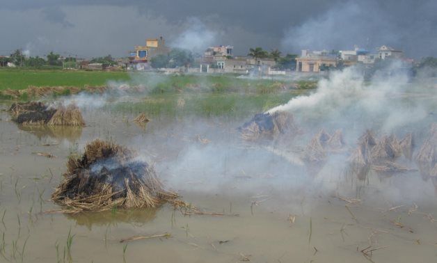Air pollution from open burning of straw nearby residential area in Vietnam – Imaggeo/Ali Mohammadi