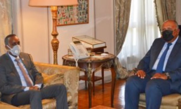 Foreign Minister Sameh Shoukry with Somali Prime Minister Mohamed Hussein Roble 