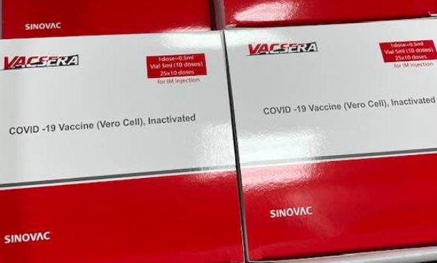 FILE – Sinovac doses produced in Egypt