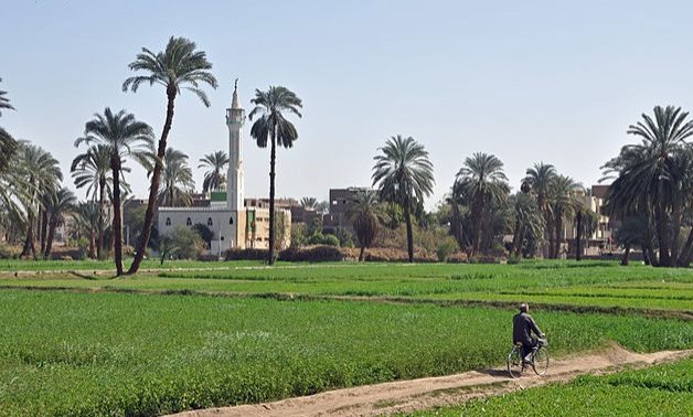 FILE - A rural village in Egypt