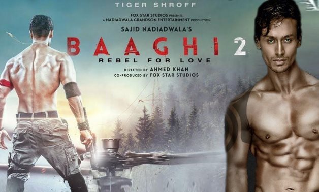 Baaghi 2 poster - social media