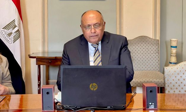 Egyptian Foreign Minister Sameh Shoukry - Egyptian Foreign Ministry