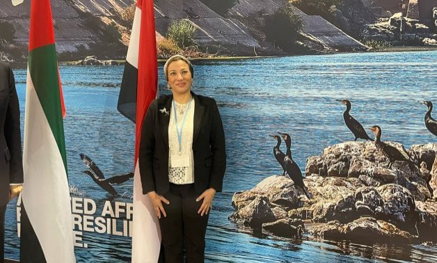 Egyptian Minister of Environment Dr. Yasmine Fouad - FILE 