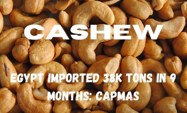 Cashew- Egypt Today