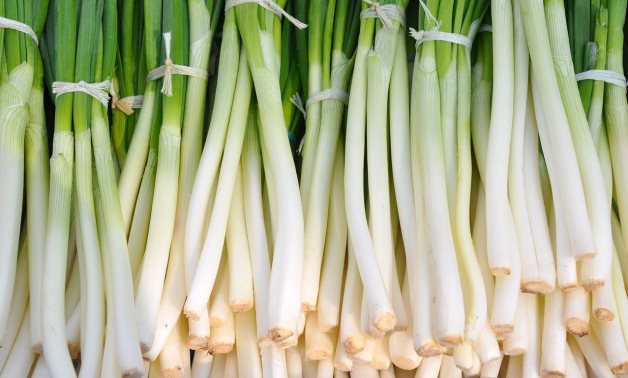 Green onions - Pixabay