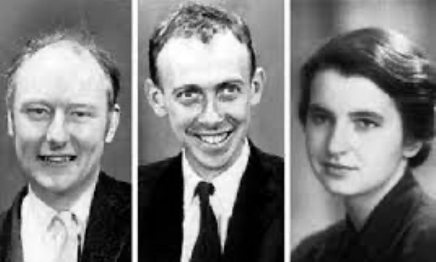 WORKING TOGETHER: James Watson, Francis Crick and Rosalind Franklin who together discovered the structure of DNA - HeraldScotland