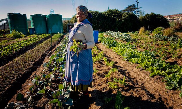 A woman holds up some of the vegetables she has grown in a garden in Cape Town, South Africa - Africa Food Security/Kate Holt/AusAID