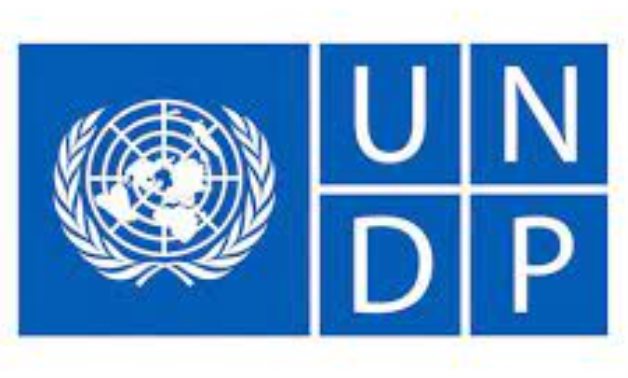 UNDP logo – Official website