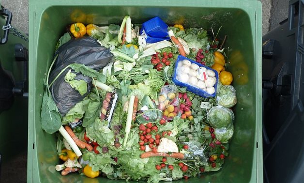Wasted vegetables and fruits of a hypermarket from one or two days. Some of the more impressing stuff in there was found underneath the surface - like about one carton of bananas.- CC via Wikimedia