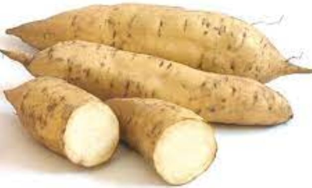 White sweet potato – Wikimedia Commons 