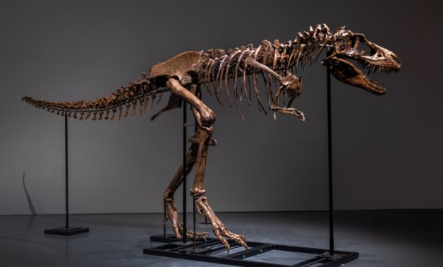 The dinosaur's skeleton sold at Sotheby's - social media