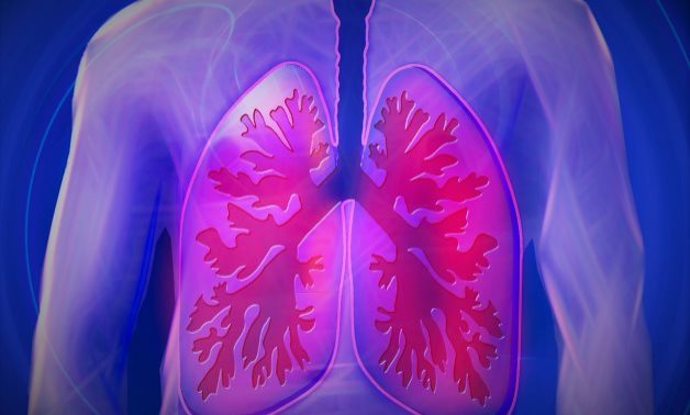 Lungs - CC via Flickr