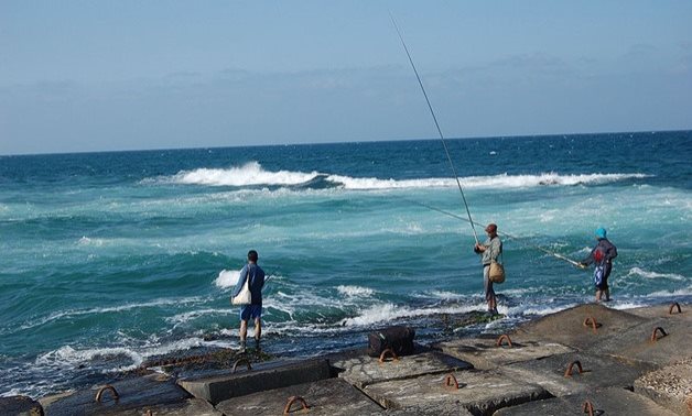 Three people fishing in Alexandria - FILE