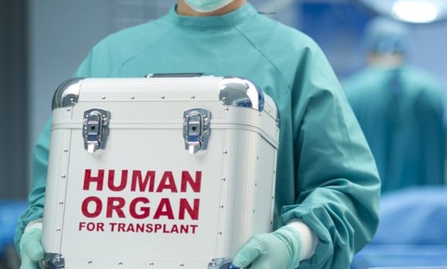 Human Organ Transplant - file 