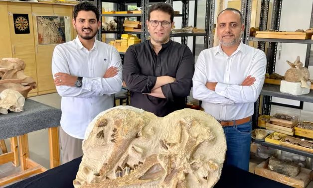 From left: Abdullah Gohar, Mohamed Sameh, and Hesham Sallam with the holotype fossils of Tutcetus rayanensis - Mansoura University vertebrate palaeontology centre