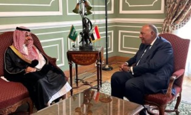 Egypt's FM and Saudi his counterpart Discuss Strengthening Bilateral Relations