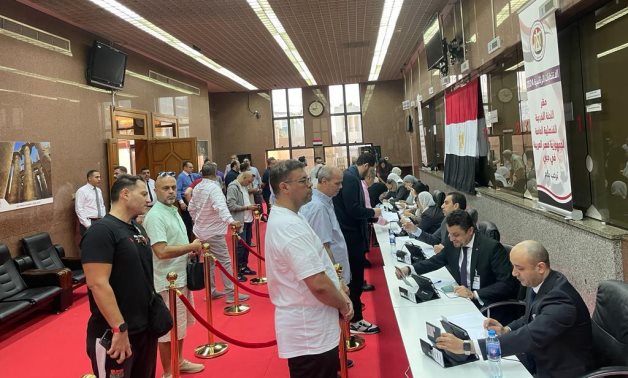 A number of Egyptian citizens abroad cast their ballot in the 2024 Presidential Elections