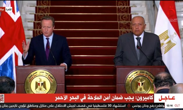 British Foreign Secretary David Cameron speaks in a joint press conference in Cairo with Egypt's Foreign Minister Sameh Shoukry