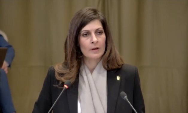Jasmine Moussa, Legal Advisor at the Cabinet of the Minister of Foreign Affairs, presented Egypt's oral arguments 