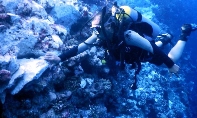 Inspecting damage on corals - Ministry of Environment 